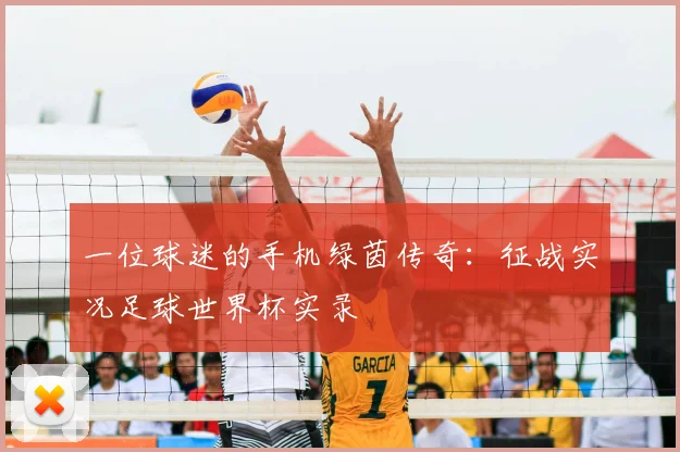 一位球迷的手机绿茵传奇:征战实况足球世界杯实录
