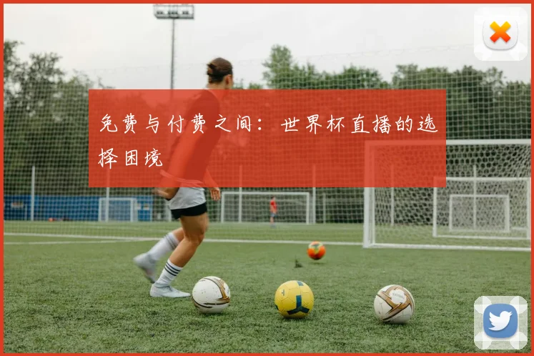 免费与付费之间：世界杯直播的选择困境