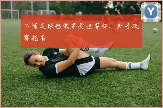 不懂足球也能享受世界杯：新手观赛指南