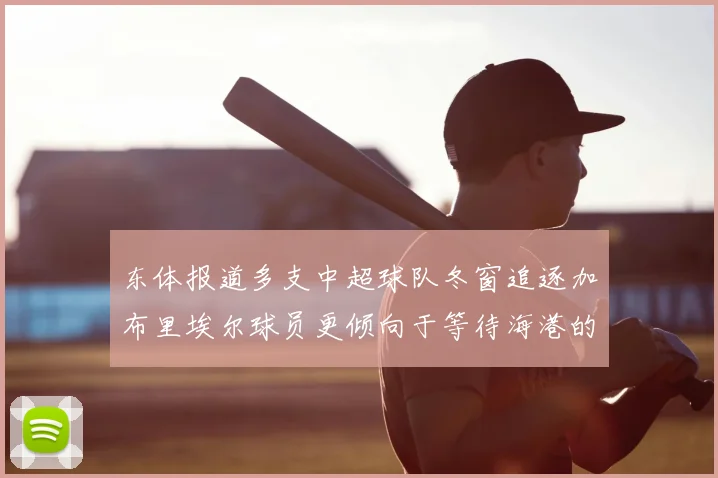 东体报道多支中超球队冬窗追逐加布里埃尔球员更倾向于等待海港的机会