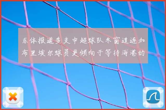 东体报道多支中超球队冬窗追逐加布里埃尔球员更倾向于等待海港的机会