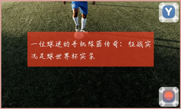 一位球迷的手机绿茵传奇：征战实况足球世界杯实录